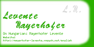levente mayerhofer business card